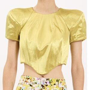 Collina Strada Cropped Ava Corset Top Small